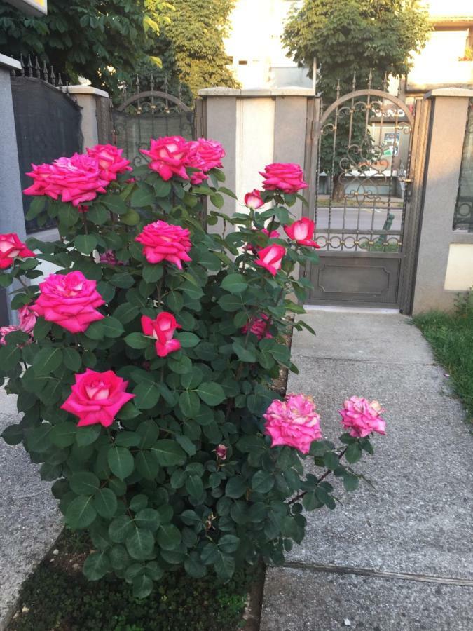 Apartments Premovic Nikšić Esterno foto